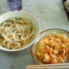 かなり久しぶりの画像
