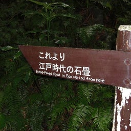 画像 小田急ハイキング『箱根』を歩く の記事より 8つ目