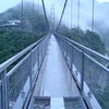 「黒水仙」橋を思い返すの画像