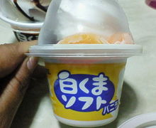 NEC_0380.jpg