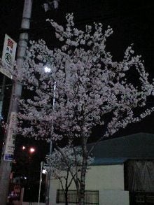 080404_1922~0001.jpg