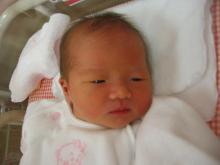 mayu