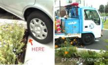 jaf
