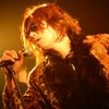 Flying Walrus CD発売記念Live "Kick The Habits"の画像