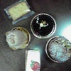 食欲の秋♪第一弾☆の画像