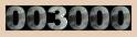 3000