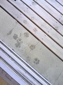 子連れのウチ日記-090130_0916~01.jpg