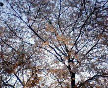200603300559000.jpg