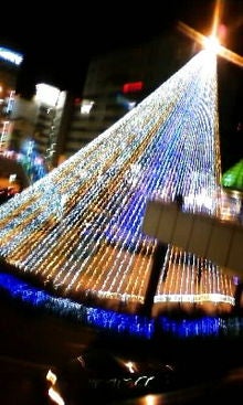 ﾟ+･ＲｙＯ'ｓ*ＢＬＯＧ.゜-081228_2039~01.JPG