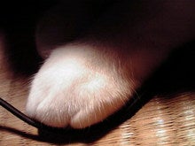 2008082301080000.jpg