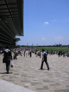 競馬場