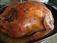 turkey