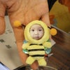 札幌から来たマリエちゃん　byベイビー菊の画像