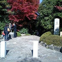 画像 紅葉？ の記事より 3つ目