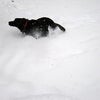 積雪☆の画像