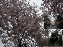 上野公園