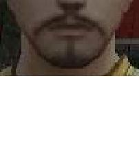 ヒゲ
