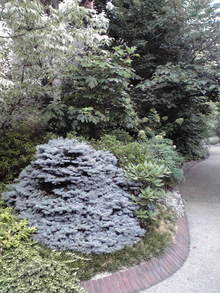 2008082117020000.jpg