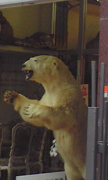 永空日報-081214_1121~01.jpg