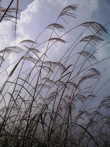 2008090714000000.jpg