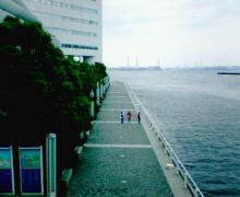 200606041044000.jpg