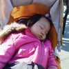 2009/01/02の画像
