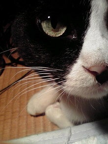 2008092001390001.jpg