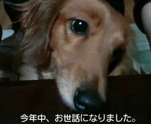 ようこそ♪デフワールド　ひろたんへ♪-2008123110070000.jpg