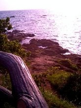 葉山の夕日