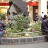 現地調査の画像