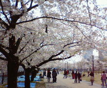 200704081003000.jpg
