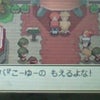ポケモンプラチナ　ネタバレ有り！　オデンもあるよ☆２の画像