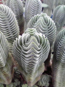 2008082210160000.jpg