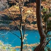 もみじ。の画像