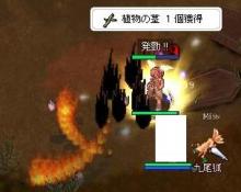 狐狩り