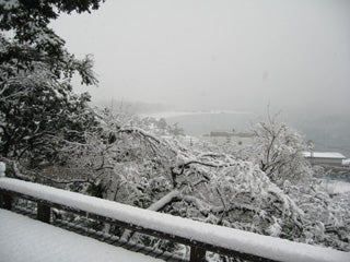 2008　大雪