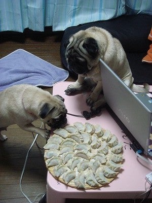 何しているの?べぇべぇ
