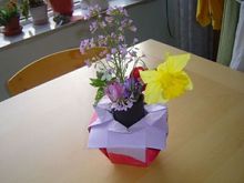 庭からとった花