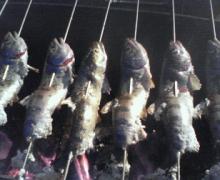 ヤマメの塩焼き・・・2