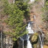 旅行in鬼怒川。の画像