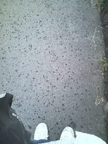 080602_1201~0001.jpg