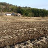 カンタータ「土の歌」～大地讃頌の画像
