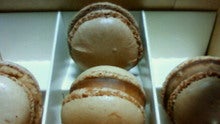 のん(@￣ρ￣@)ｚｚｚｚ-200901262046001.jpg
