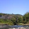 ★楽しい一日★の画像