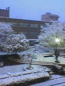２回の時早朝製図室から雪景色