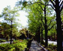 200604301052000.jpg
