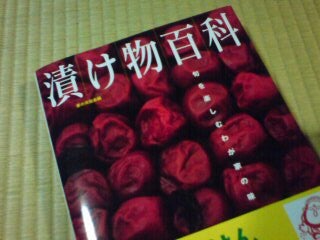 20080821152953.jpg