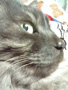 080413_0215~0002.jpg