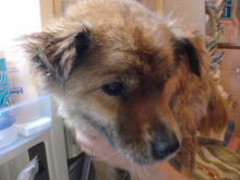20080516065243.jpg