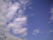 CA390289.JPG